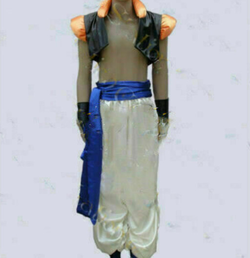 Gogeta (DBZ) | Dragon Ball Z | Cosplays y Disfraces de Dragon Ball