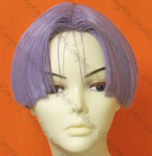 Peluca Trunks (DBZ) | Dragon Ball Z | Cosplays y DIsfraces de Dragon Ball